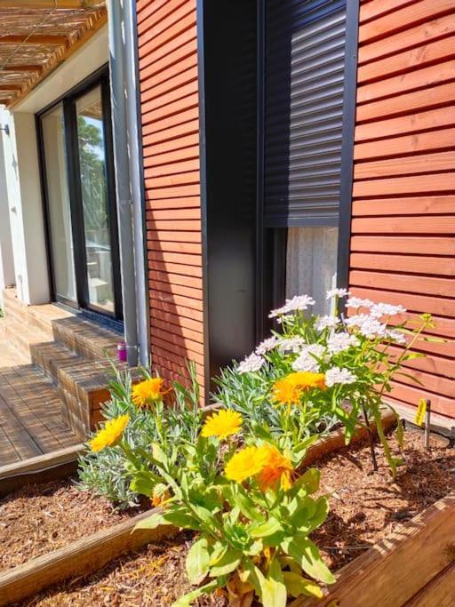 Notre Petite Maison La Rochelle  Buitenkant foto
